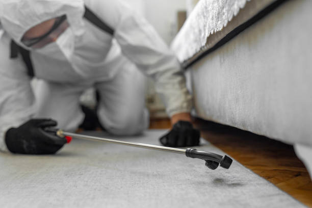 Professional Termite Control technician working in Waunakee, WI