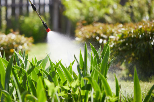24/7 Emergency Termite Control experts in Waunakee, WI